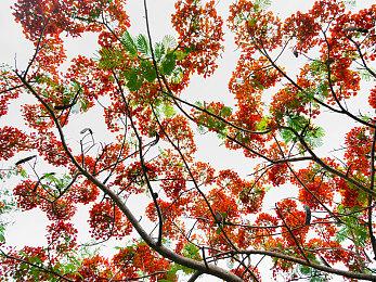 任天堂大乱斗制作人樱井政博最爱并非游戏而是开车