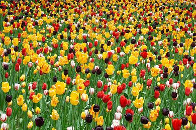 《霍格沃茨之遗》Steam在线超80万 MTC玩家评分9.2分