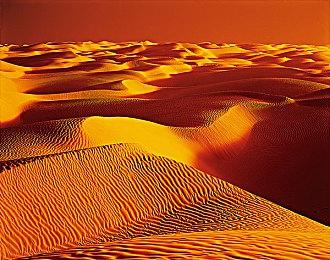 《毁灭战士：黑暗时代》《巫师4》均支持DLSS 4